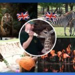 Exploring 10 Best Zoo in The UK: Explore Wildlife Wonders