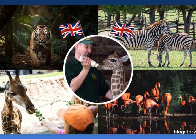 Exploring 10 Best Zoo in The UK: Explore Wildlife Wonders