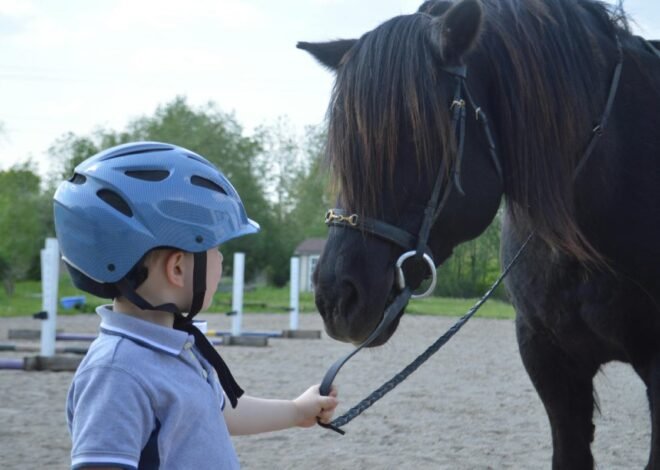 A Useful Guide To Kids Jodhpurs