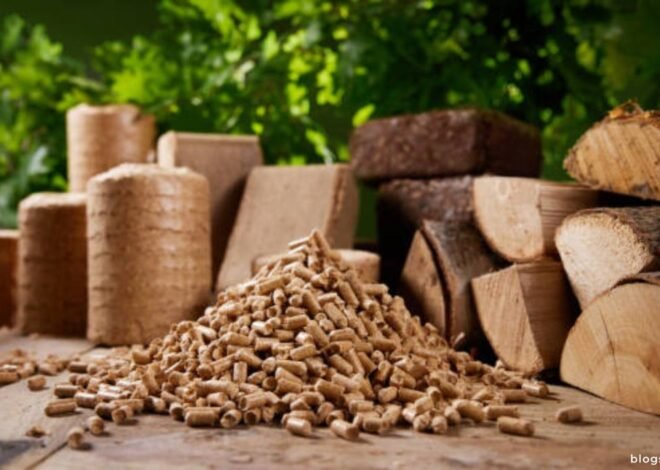 Wood As a Renewable Resource: The Environmental Benefits of Biomass Heating